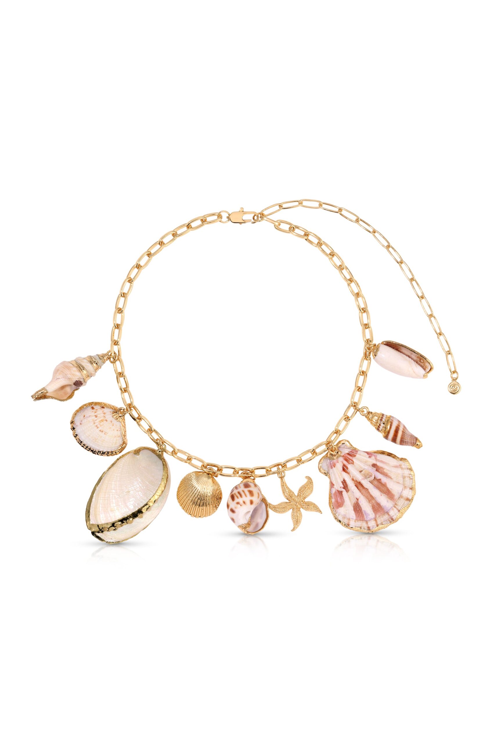 Assorted natural seashells on a gold summer statement necklace
